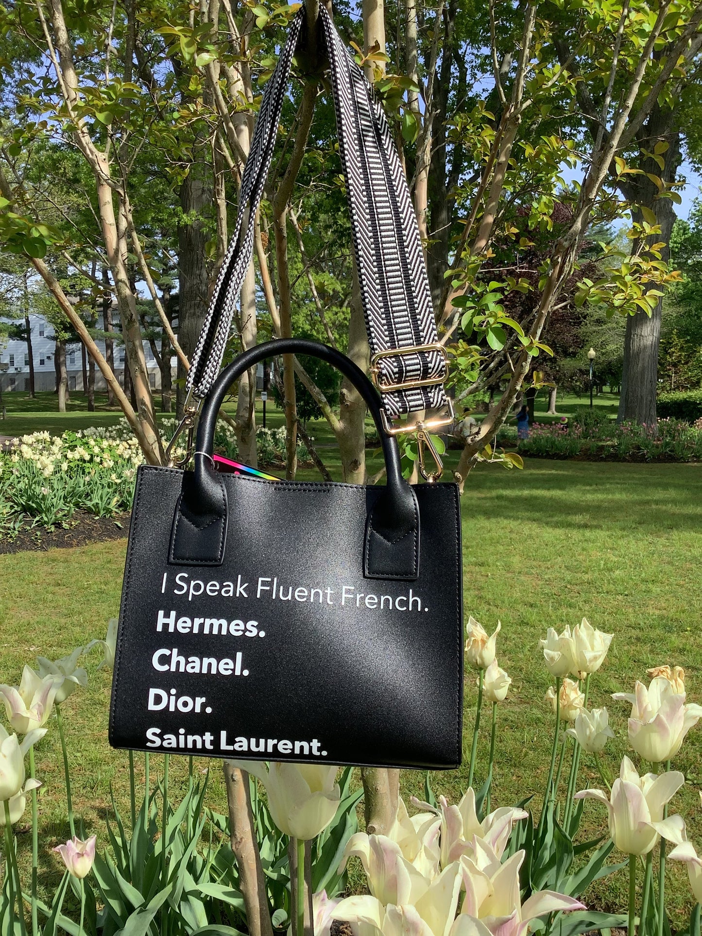 I Speak Fluid French Mini Tote - Assorted Colors