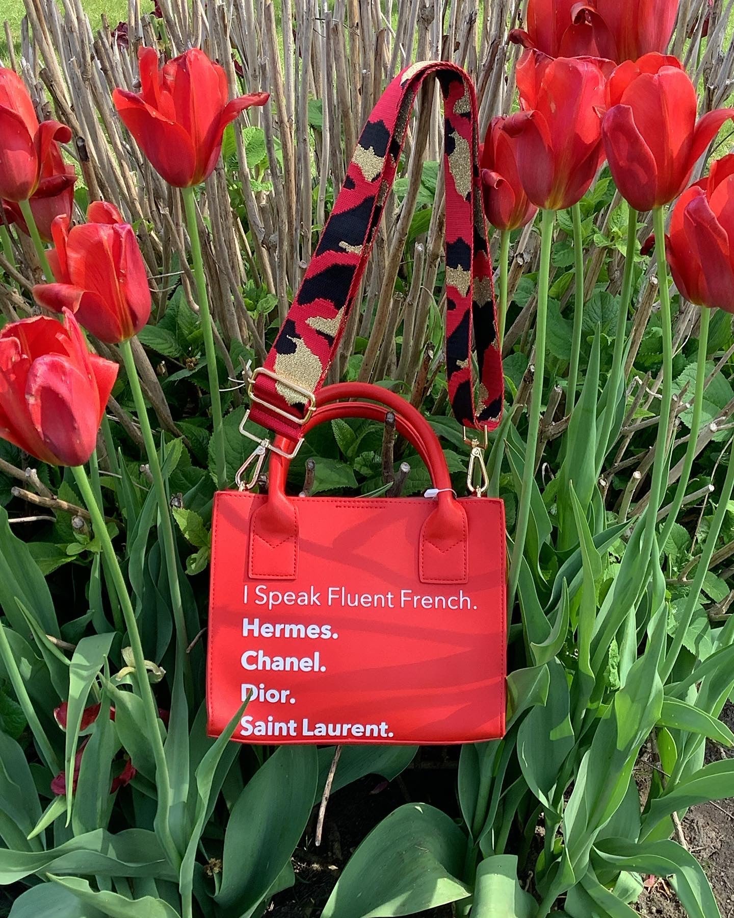 I Speak Fluid French Mini Tote - Assorted Colors